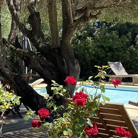Tatil Evi Aletti Mj Piscine Privee Vecchio Porto-Vecchio (Corsica)