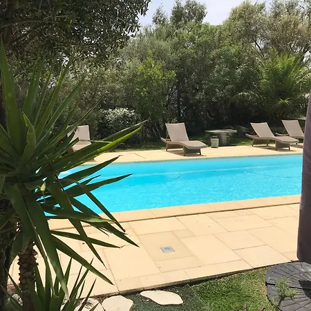 Aletti Mj Piscine Privee Vecchio Tatil Evi Porto-Vecchio (Corsica)