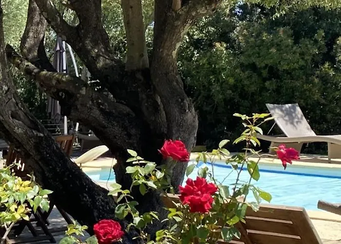 Holiday home Aletti Mj Piscine Privee Vecchio Porto-Vecchio (Corsica)